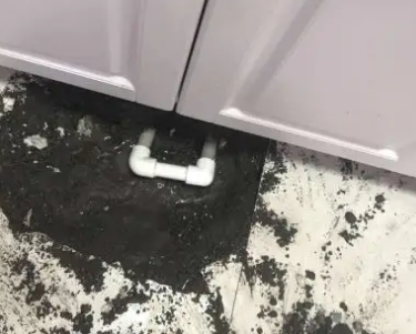 福贡查漏水哪家好